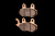 full_PL135_2