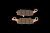 full_PL231_1