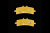 full_PL447_3