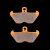 PL407 1 PL407 1